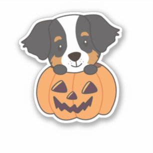 Sticker Chien De Montagne Bernais En Chiens Citrouilles He