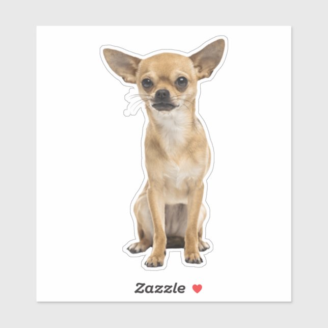 Sticker chihuahua (Feuille)