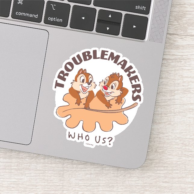 Sticker Chip & Dale Troublemakers (Détail)
