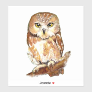 Sticker Chouette d'aquarelle Oiseau Faune Nature Art