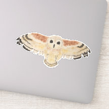 Chouette de marais d'oiseaux d'aquarelle