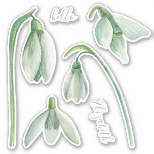 Sticker Chute de neige aquarelle. Fleurs de printemps. Nom