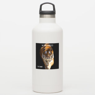 Sticker Cincinnati Tiger -