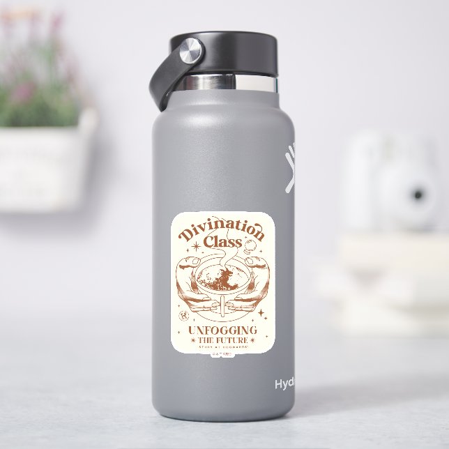 Sticker Classe De Divinisation - Débrouiller L'Avenir (HydroFlask)