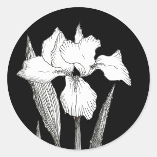 Sticker classique en noir et blanc Iris