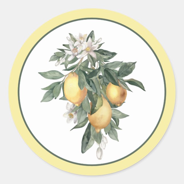 Sticker classique ronde aux fruits de citron (Devant)