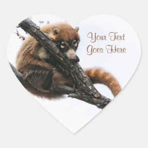 Sticker: Coatimundi #5 (Heart) Heart Sticker