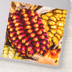 Sticker Cobs de maïs