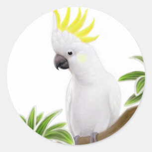 Sticker Cockatoo À Pot De Soufre