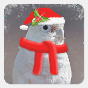 Sticker Cockatoo de Noël