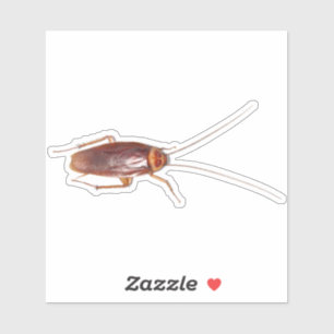 Sticker Cockroach