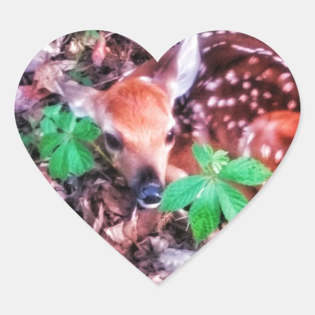 STICKER CŒUR 1BÂTIMENTS DU COEUR FAUN (Devant)