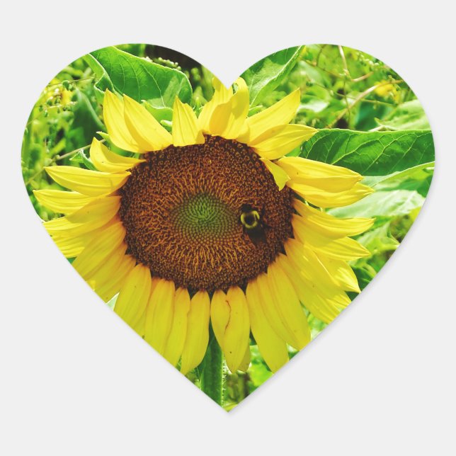 Sticker Cœur Abeille sur tournesol jaune (Devant)