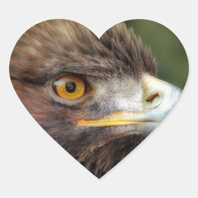 Sticker Cœur aigle royal (Devant)