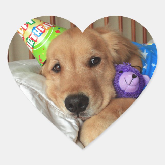 Sticker Cœur Anniversaire du Golden Retriever (Devant)