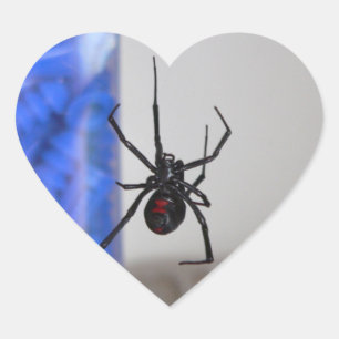 Sticker Cœur Araignée noire