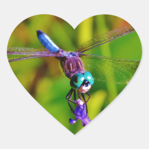 Sticker Cœur Arc en ciel libellule et fleur