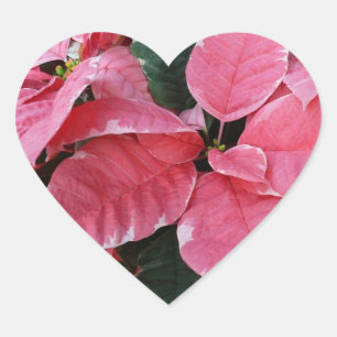 Sticker Cœur Argent Star Marbre Poinsettias Pink Holiday Floral