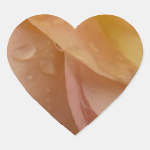 Sticker Cœur Arrosage sur pétales Roses rose pâle