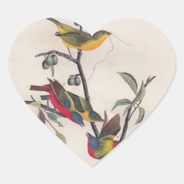 Sticker Cœur Audubon Peint Bunting Bird Wildlife (Devant)