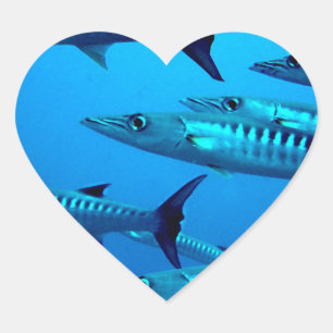 Sticker Cœur barracuda plongée mer profonde océan eau tropicale