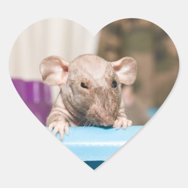 Sticker Cœur bâton de rat (Devant)