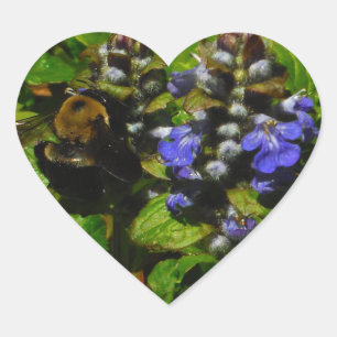 Sticker Cœur Baume d'abeille pourpre et bourdon