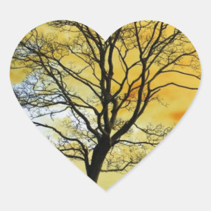 Sticker Cœur Beau coucher de soleil paysage Pittoresque Art pho