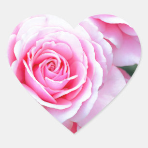 Sticker Cœur Beaux roses roses