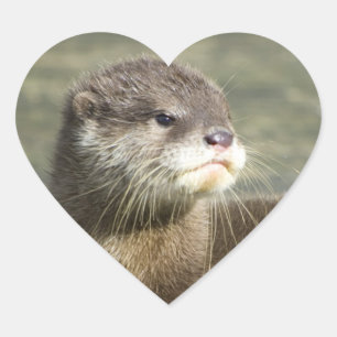 Sticker Cœur Bébé mignon Otter