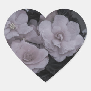 Sticker Cœur Bégonias Rose Reposant Sur Le Banc
