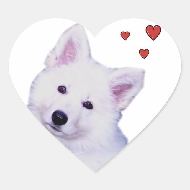 Sticker Cœur Berger blanc chiot (Devant)