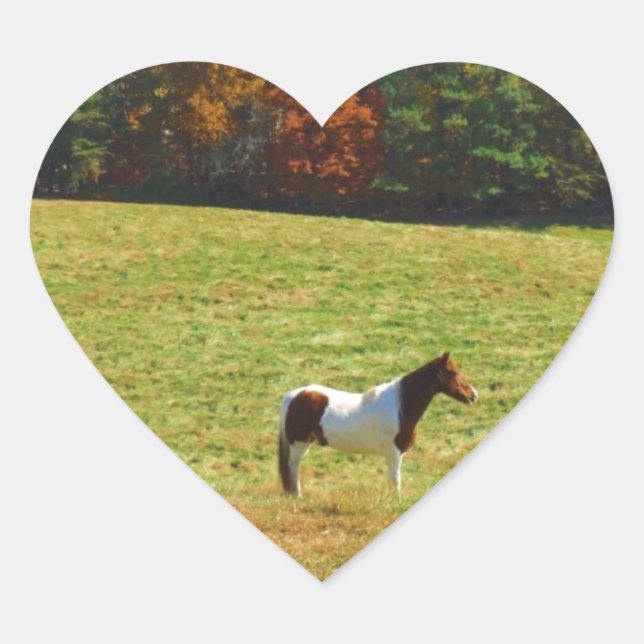 Sticker Cœur Brown & cheval blanc, arbres d'automne, ciel bleu (Devant)