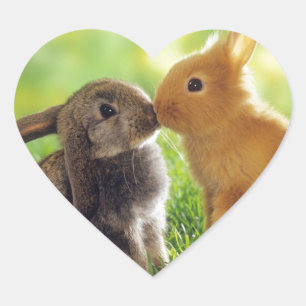 Sticker Cœur Bunny Kiss