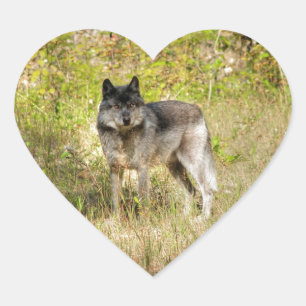 Sticker Cœur Cadeau photo Gray Wolf & Wilderness