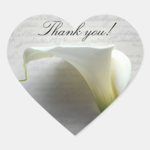 Sticker Cœur Calla lys sur l'ancien script merci