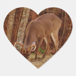 Sticker Cœur Camouflage en chêne rouge Stag Buck Deer Nourritur