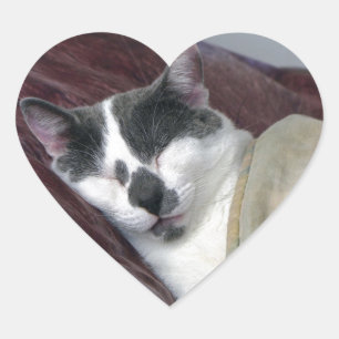 Sticker Cœur Cat Napping