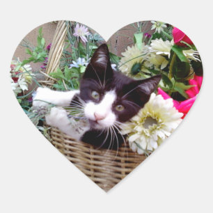 Sticker Cœur Chaton dans un panier
