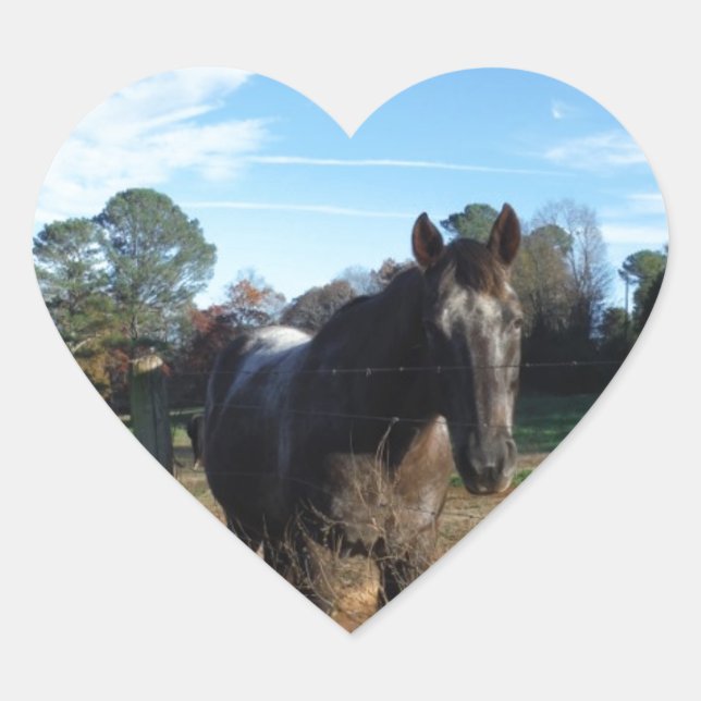 Sticker Cœur Cheval brun Coco et Crème (Devant)