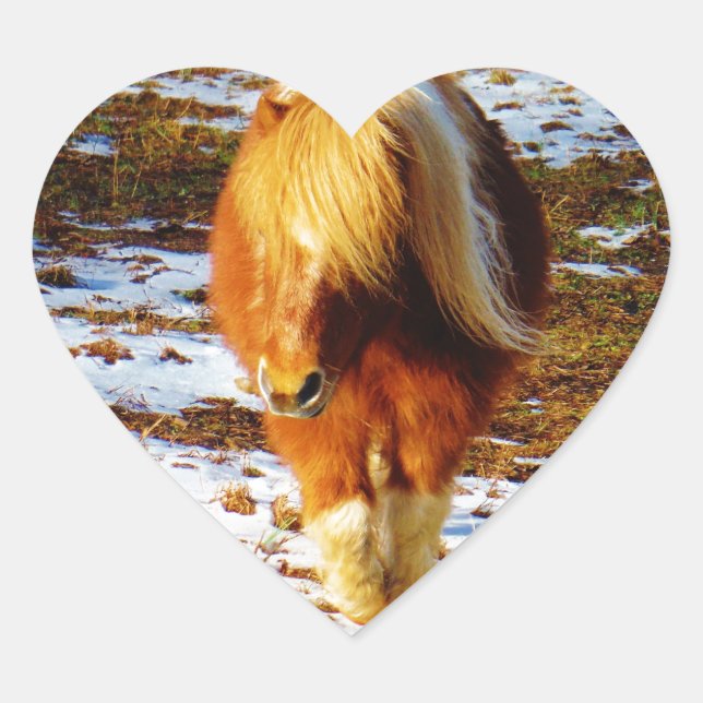 Sticker Cœur Cheval miniature Brown et crème dans la neige. (Devant)