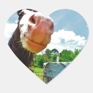 Sticker Cœur Cheval souriant