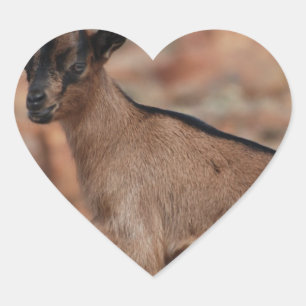 Sticker Cœur Chèvre bébé