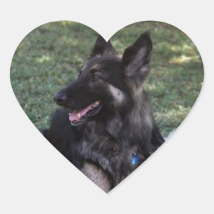 Sticker Cœur Chien berger allemand