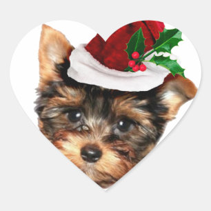 Sticker Cœur Chien chiot de Chrismtas Yorkshire Terrier
