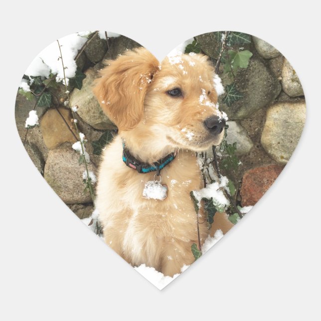Sticker Cœur Chiot à neige (Devant)