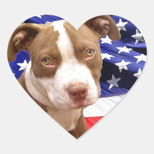 Sticker Cœur Chiot américain Pitbull