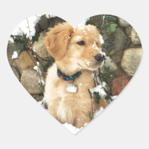 Sticker Cœur Chiot de neige