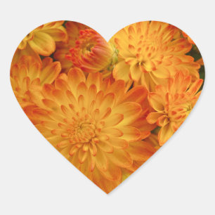 Sticker Cœur Chrysanthèmes orange Fire