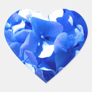Sticker Cœur Cobalt bleu floral élégant bleu hydrangées
